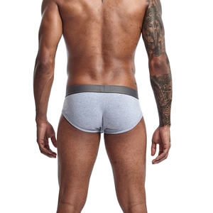 Rear view of men's grey cotton briefs showing full coverage fit and wide elastic waistband