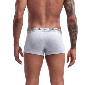Rear view detail of grey cotton boxer briefs with a wide elastic branded waistband