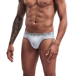 Close-up of men's gray high-cut cotton briefs with a wide elastic branded waistband