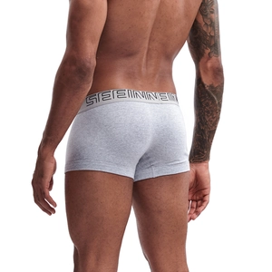 Rear view detail of men's grey cotton boxer briefs showing a wide elastic branded waistband