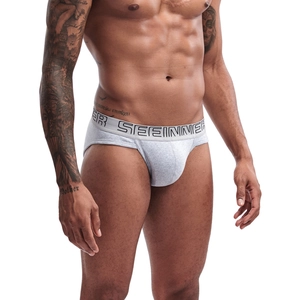 Detail of high-cut men's cotton briefs in light grey with elastic lettered waistband