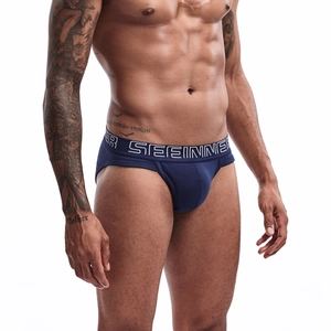 Close-up of deep blue cotton briefs showing wide elastic waistband and logo embroidery