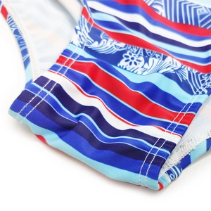 Close-up of swim trunks featuring red and blue stripes with floral wave patterns