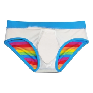 Detail of men's rainbow striped swim briefs featuring mesh lining and removable pouch pad