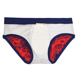 Flat lay of men's red striped swim briefs with blue elastic waistband and dry fabric