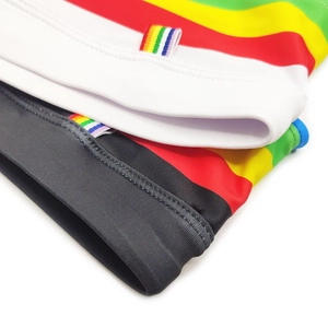 Macro detail of men's swim briefs with rainbow side stripes and elastic stitching