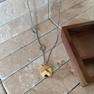 Detailed close-up of a dual-tone oval pendant on a silver chain over a stone surface