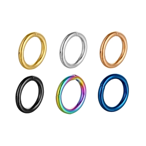 Detailed view of polished 316L stainless steel seamless hinged clicker rings in six colors