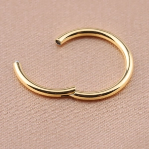 Detailed macro view of 316L stainless steel gold hinged segment ring for piercings