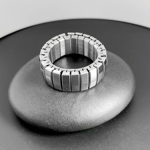 Elastic stainless steel watchband style ring with brushed metal texture finish