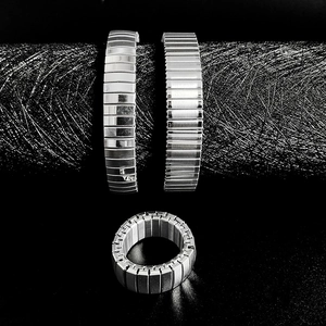 Elastic stainless steel watchband style jewelry set with two bracelets and a matching ring