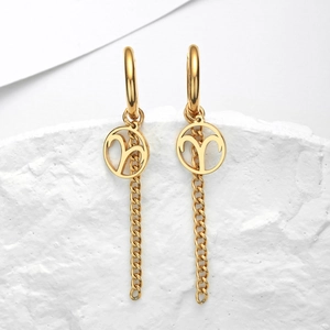 Boucles d'Oreilles Zodiaque en Acier Inoxydable Pendentif Rond Creux Chaîne Gland Fermoir d'Oreille Femme Bijoux