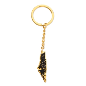 Porte-clés carte d'Israël en acier inoxydable doré poli avec pendentif arbre enraciné