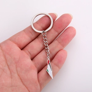 Llavero de acero inoxidable con colgante del mapa de Palestina en esmalte de colores