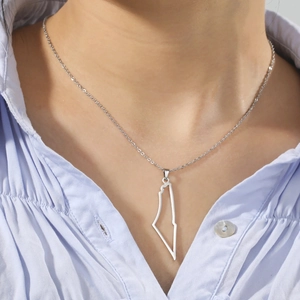 Silver stainless steel Israel map pendant necklace worn by model on blue shirt