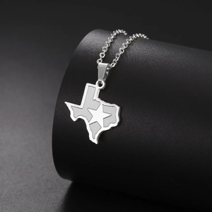 Collier avec pendentif carte du Texas en acier inoxydable poli avec étoile sur support noir