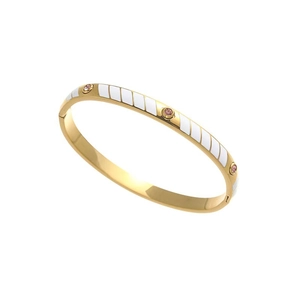 Polished gold titanium steel bangle with white enamel snake pattern and purple zircons
