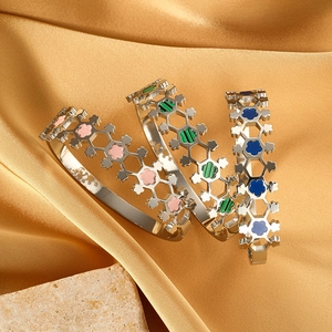 Minimalistische geometrische vergulde titanium stalen armbanden met emaille bloemen