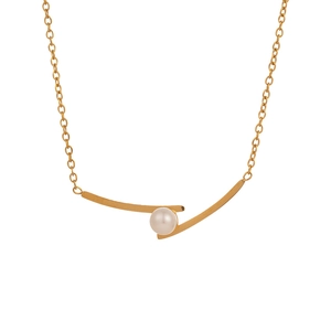 Minimalistische titaniumstalen ketting voor dames met parel en gouden gebogen hangers