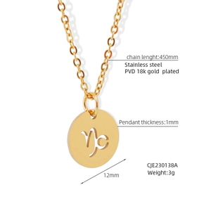 Macro detail of 18K gold plated Capricorn zodiac pendant with specific measurements