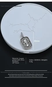 Detail van de vierkante hanger met Franse lelie en gezette zirkoon op een sieradendisplay