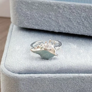 Detail eines silbernen Muschelrings mit Zirkonia auf einer hellblauen Samtbox