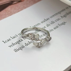 Dettaglio anello mani abbracciate argento con zirconi viola e bianchi su libro