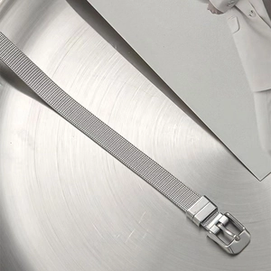 Détail du bracelet en maille argentée en acier inoxydable avec boucle de style montre