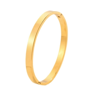 Minimalistische 18K vergulde roestvrijstalen ovale armband met gepolijste spiegelafwerking