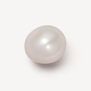 Macro shot of a high-quality round cream white freshwater pearl with natural luster