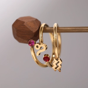 Bagues zodiaque ajustables en acier inoxydable plaqué or 18 carats avec zircons colorés