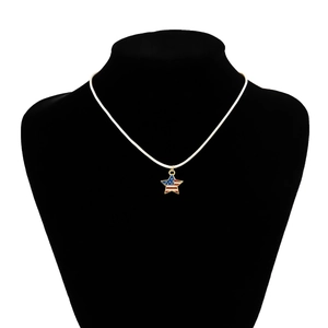 Dettaglio della collana con pendente a stella bandiera americana su espositore nero per collo