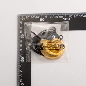 Primer plano de un colgante de nautilo dorado con textura metálica y cordón negro