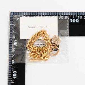 Detail van gouden schakelketting met een ijzig slotje hanger en een handige OT-sluiting