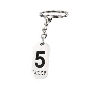 Silver stainless steel keychain with Lucky Number 5 dog tag pendant on white background