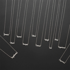 Conjunto de collares minimalistas de acero inoxidable plateado con nombres de los signos zodiacales