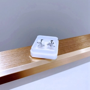 Detailaufnahme funkelnder Zirkonia-Ohrstecker in Blattform aus Edelstahl in einer Box