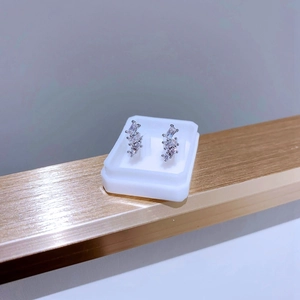 Détail macro de boucles d'oreilles en zircon sur un support métallique doré brossé