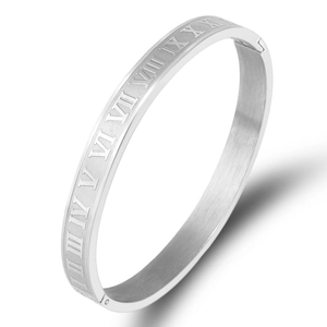 Minimalist silver titanium steel roman numeral oval bangle with a brushed metal finish