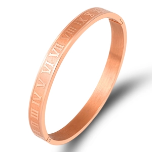 Titanium steel roman numeral bracelet with rose gold finish and brushed metal surface