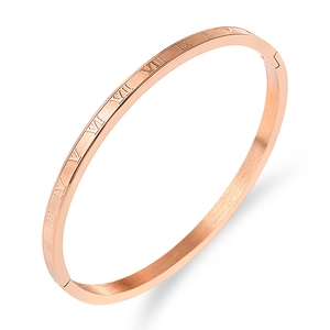 Detailed macro view of rose gold titanium steel bracelet featuring roman numeral engravings