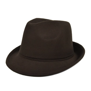 Detailed close-up of dark brown fedora hat showing textured wool felt and stitched brim