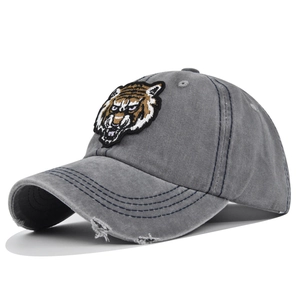 Detailed macro view of the grey washed canvas texture and vintage tiger head embroidery