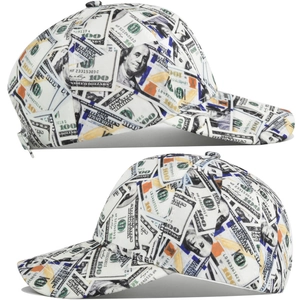 Detail of dollar bill print on baseball cap with focused federal reserve note pattern