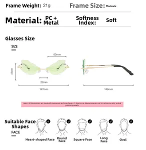 Detailed size chart for dragonfly wing sunglasses featuring frame dimensions and weight