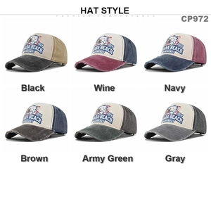 Vintage eagle baseball cap in six colors with distressed brim and 2024 print