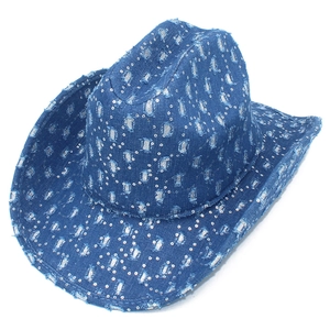 Detail of distressed denim cowboy hat with sparkling silver sequins and frayed edges