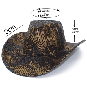 Spécifications de taille pour chapeau de cowboy style western avec motif serpent