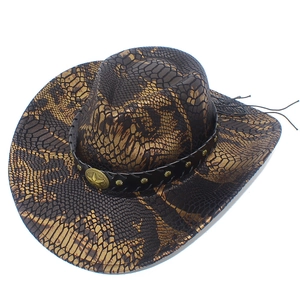 Chapeau de cow-boy classique avec motif serpent brun et emblème étoile dorée