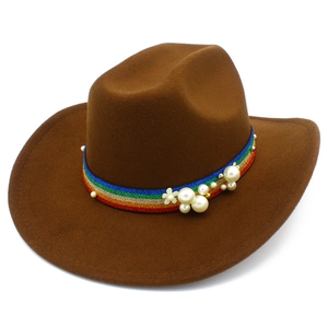 Detail of a brown wool felt fedora featuring rainbow stripes, white pearls and a floral accent